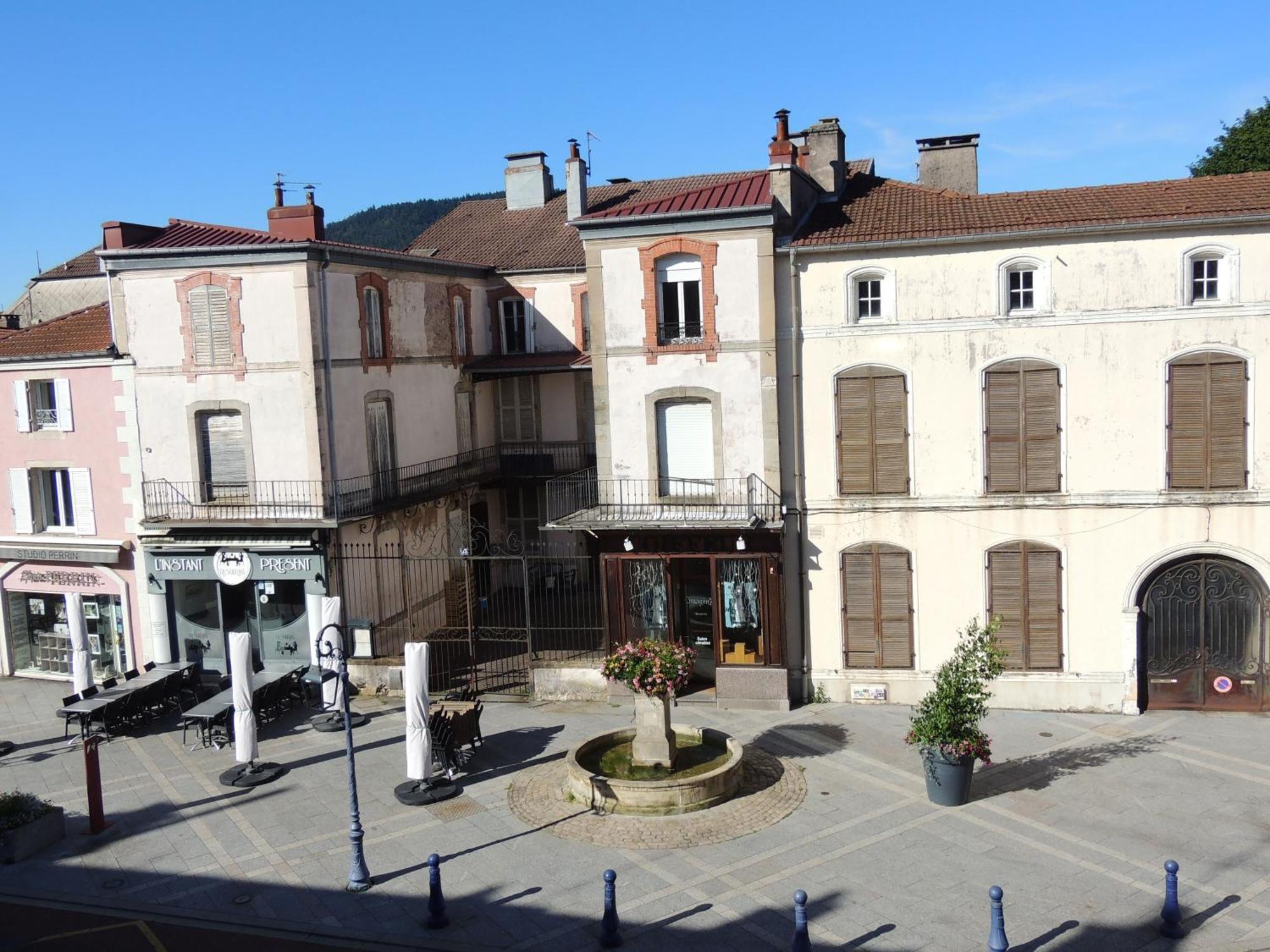 Cocon De La Belle De Vosges 3 Chambres Ремирмонт Екстериор снимка